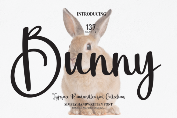 Bee Book Font for Modern Web Design