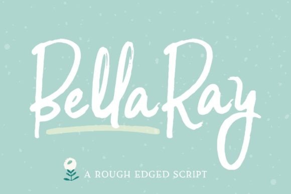 Bella Ray Script Font Review