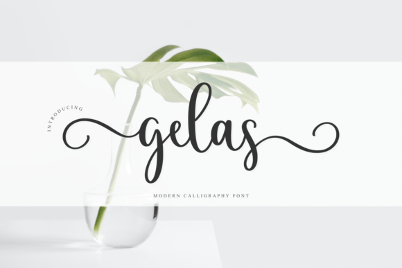 Gelas Font for Eye-Catching Brand Designs