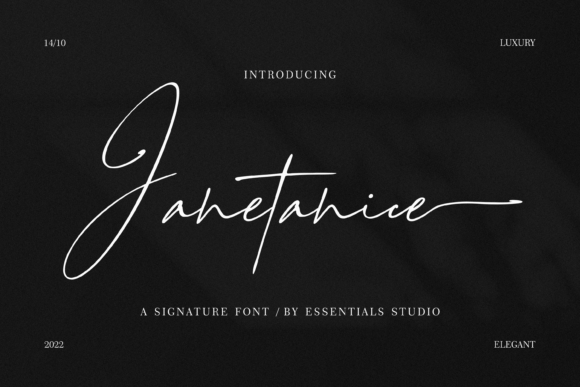 How Janetanice Elevated My Brand’s Visual Identity