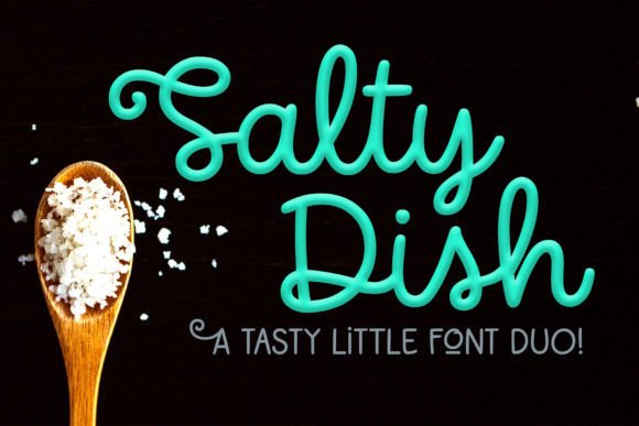 Salty Dish Script Font for Web Design